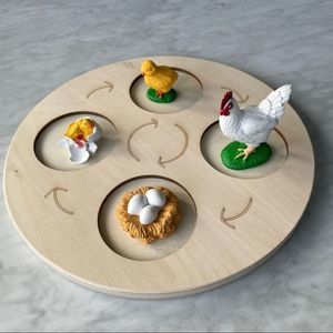 Chicken life cycle toy with Wood Tray - Montessori